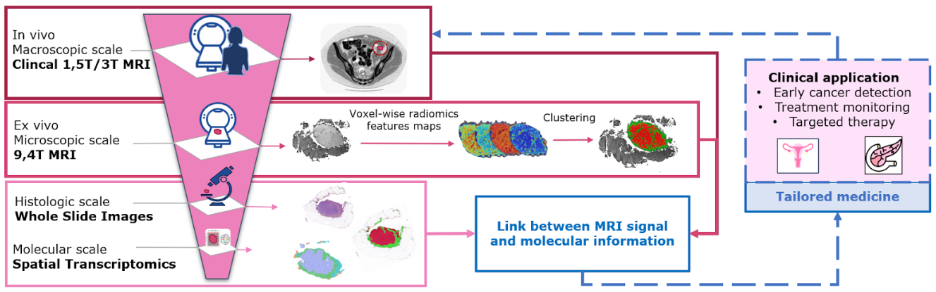 Research Project Illustration
